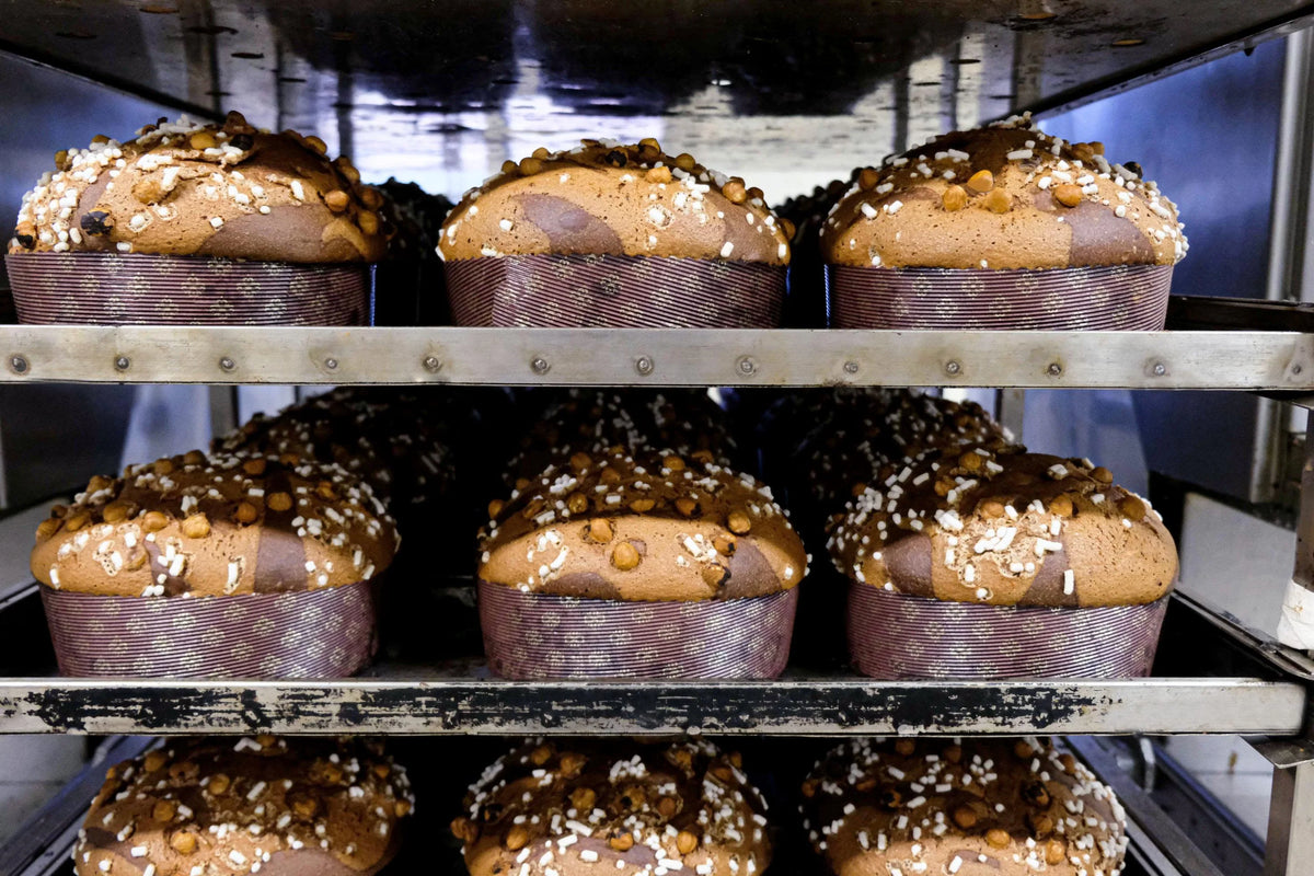 Panettone