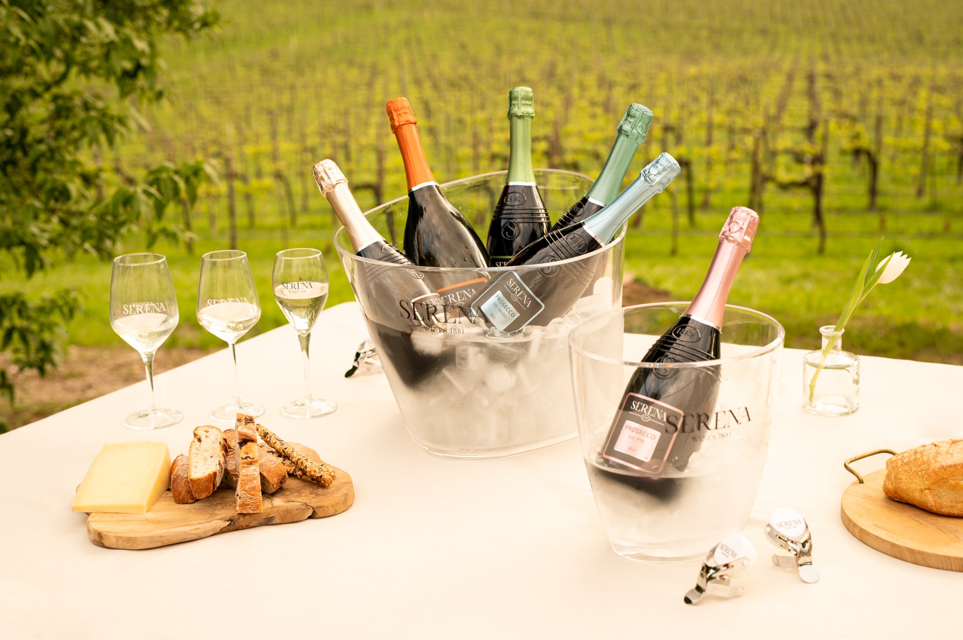 Prosecco Extra Dry
